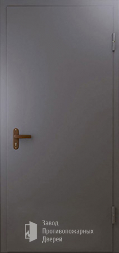 Фото двери «Техническая дверь №1 однопольная» в Пересвету